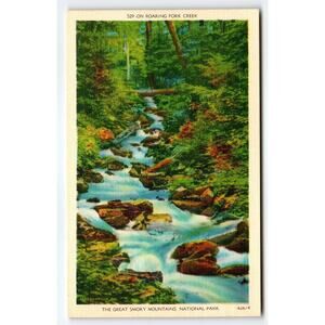 Vintage Linen Postcard Roaring Fork Creek Great Smoky Mountains Park